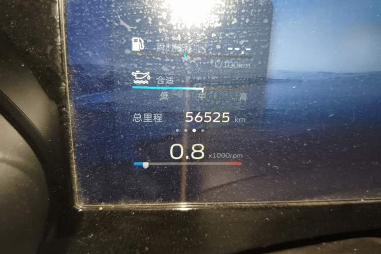 Used Geely Auto Monjaro L 2021 2.0TD High-Power Automatic All-Wheel-Drive Flagship Version Odometer Close Up