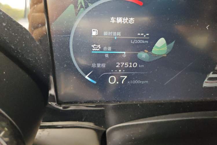 Used Geely Auto Monjaro L 2021 2.0TD DCT EVO Two-Wheel Drive Prestige Version Odometer Close Up