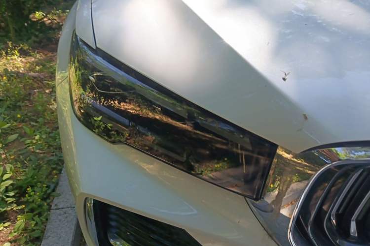 Used Geely Auto Monjaro L 2021 2.0TD DCT EVO Two-Wheel Drive Smart Luxury Version Right Front Headlight