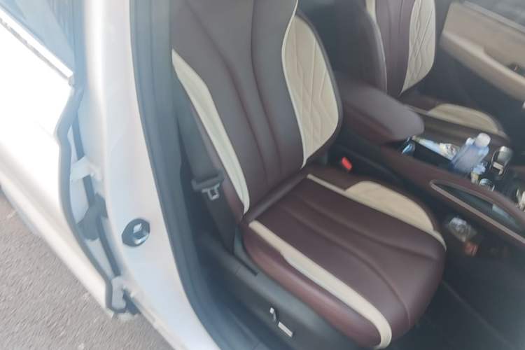 Used Geely Auto Monjaro L 2021 2.0TD DCT EVO Two-Wheel Drive Prestige Version Right Front Seat