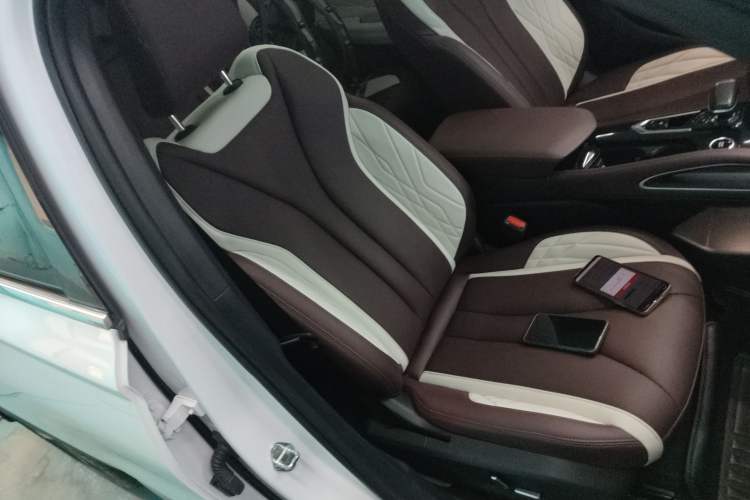 Used Geely Auto Monjaro L 2021 2.0TD High-Power Automatic All-Wheel Drive Luxury Version Right Front Seat