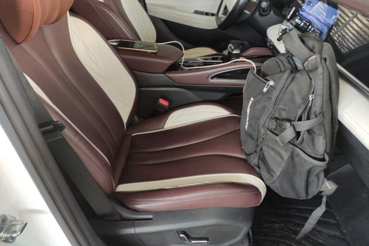 Used Geely Auto Monjaro L 2021 2.0TD DCT EVO Two-Wheel Drive Prestige Version Right Front Seat