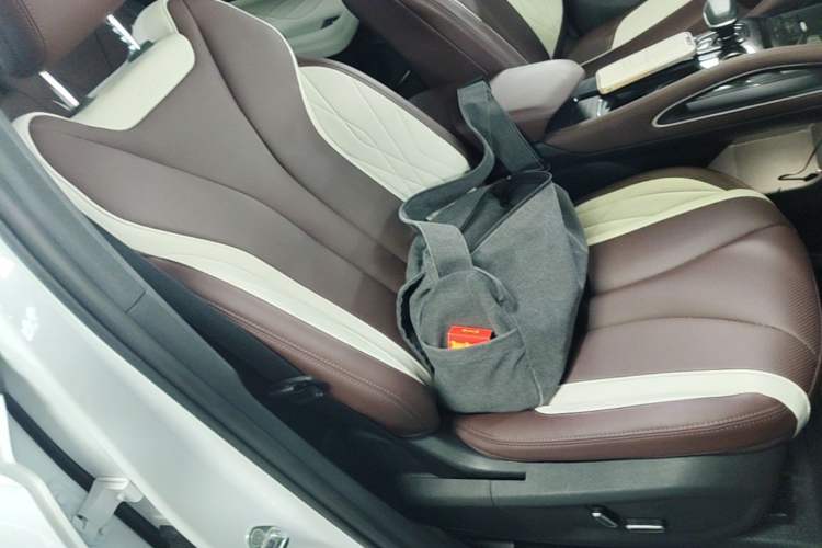 Used Geely Auto Monjaro L 2021 2.0TD DCT EVO Two-Wheel Drive Prestige Version Right Front Seat