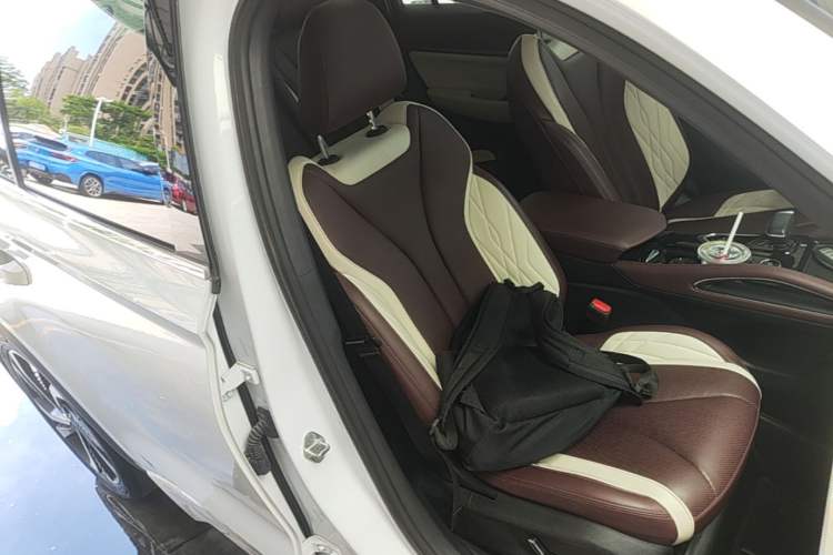 Used Geely Auto Monjaro L 2021 2.0TD DCT EVO Two-Wheel-Drive Flagship Version Right Front Seat