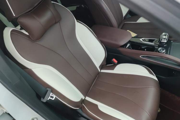 Used Geely Auto Monjaro L 2021 2.0TD High-Power Automatic All-Wheel-Drive Flagship Version Right Front Seat