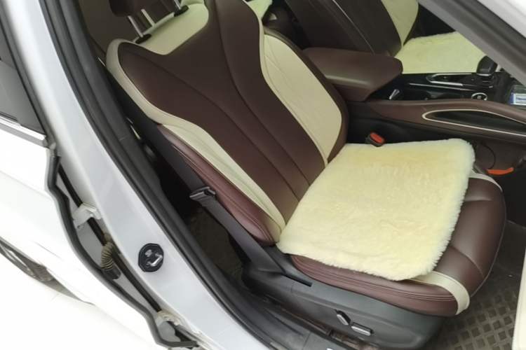 Used Geely Auto Monjaro L 2021 2.0TD DCT EVO Two-Wheel Drive Prestige Version Right Front Seat