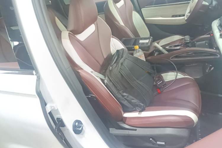 Used Geely Auto Monjaro L 2021 2.0TD DCT EVO Two-Wheel Drive Smart Luxury Version Right Front Seat