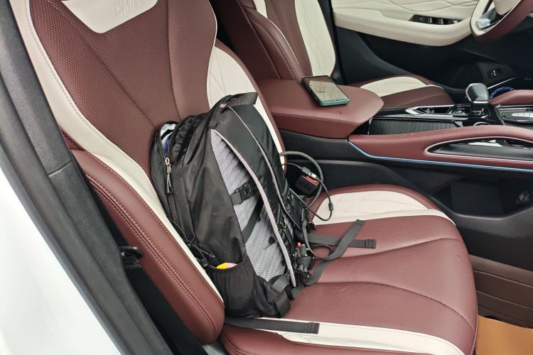 Used Geely Auto Monjaro L 2021 2.0TD DCT EVO Two-Wheel Drive Smart Luxury Version Right Front Seat
