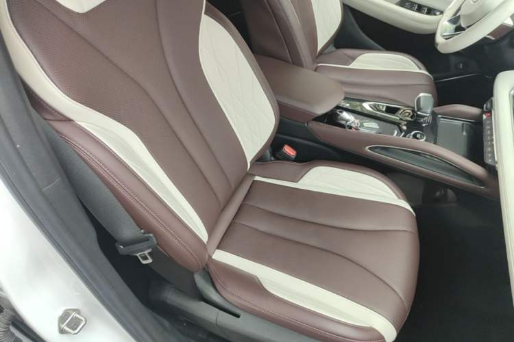 Used Geely Auto Monjaro L 2021 2.0TD DCT EVO Two-Wheel Drive Smart Luxury Version Right Front Seat