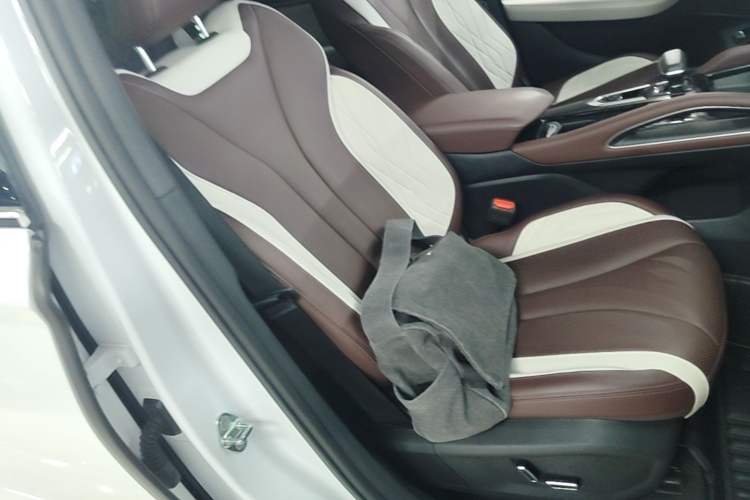 Used Geely Auto Monjaro L 2021 2.0TD DCT EVO Two-Wheel Drive Prestige Version Right Front Seat