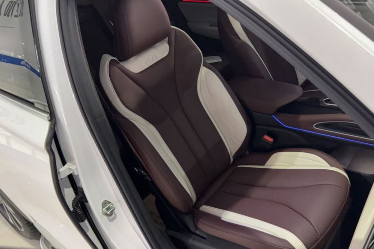 Used Geely Auto Monjaro L 2021 2.0TD DCT EVO Two-Wheel Drive Smart Luxury Version Right Front Seat