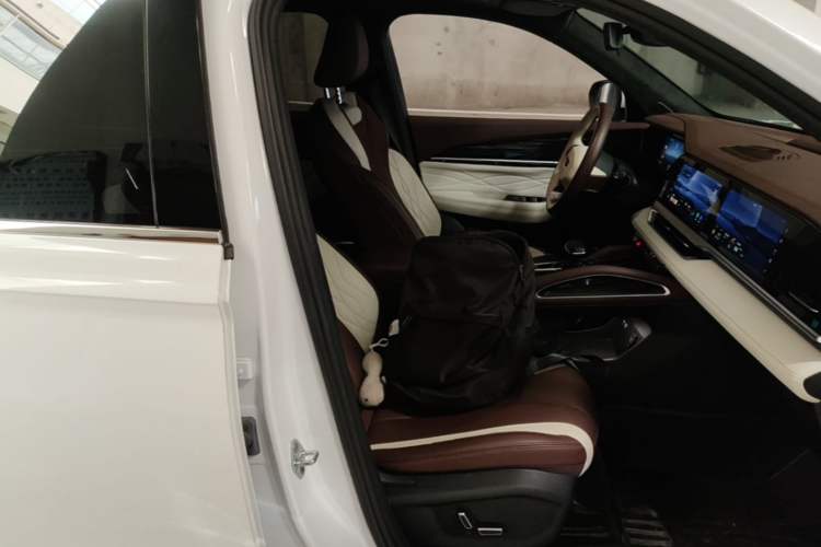 Used Geely Auto Monjaro L 2021 2.0TD DCT EVO Two-Wheel Drive Prestige Version Right Front Seat