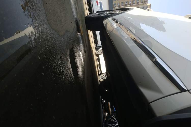 Used Geely Auto Monjaro L 2021 2.0TD High-Power Automatic All-Wheel-Drive Flagship Version Right Side Sill