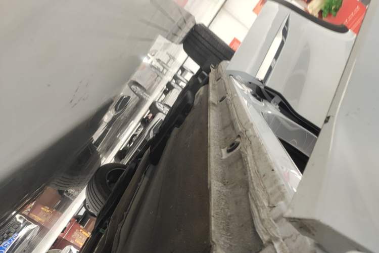 Used Geely Auto Monjaro L 2021 2.0TD DCT EVO Two-Wheel Drive Prestige Version Right Side Sill