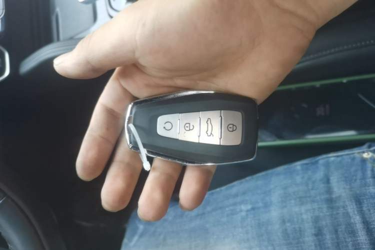 Used Geely Auto Monjaro L 2022 1.5T Leishen Hi·F Plug-in Hybrid Super Xun Interior 1