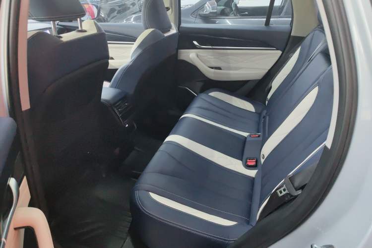 Used Geely Auto Monjaro L 2022 1.5T Leishen Hi·F Plug-in Hybrid Super Xun Left Rear Seat