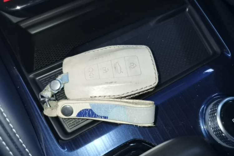 Used Geely Auto Monjaro L 2022 1.5T Leishen Hi·F Plug-in Hybrid Super Xun Interior 1