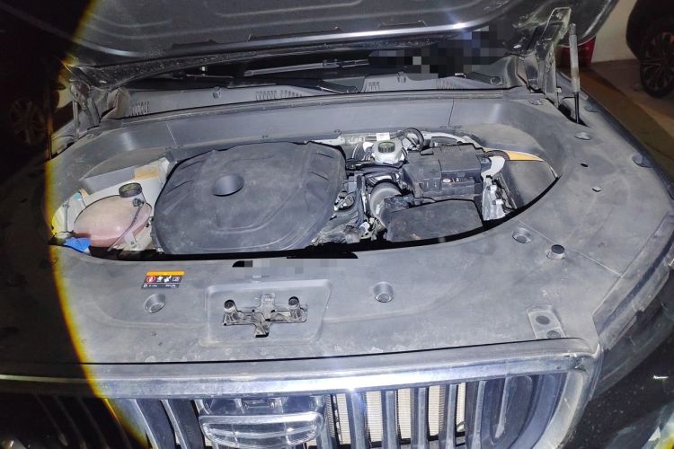 Used Geely Auto Monjaro L 2023 2.0TD High-Power Automatic Two-Wheel Drive Flagship Version Engine Bay Left