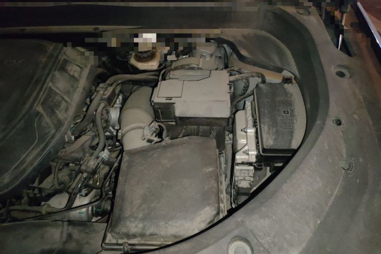 Used Geely Auto Monjaro L 2023 2.0TD High-Power Automatic Two-Wheel Drive Flagship Version Engine Bay Left