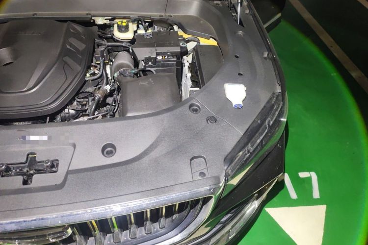 Used Geely Auto Monjaro L 2023 2.0TD High-Power Automatic Two-Wheel Drive Flagship Version Engine Bay Left