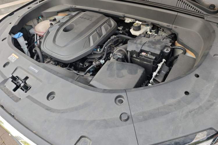 Used Geely Auto Monjaro L 2023 2.0TD High-Power Automatic Two-Wheel Drive Flagship Version Engine Bay Left