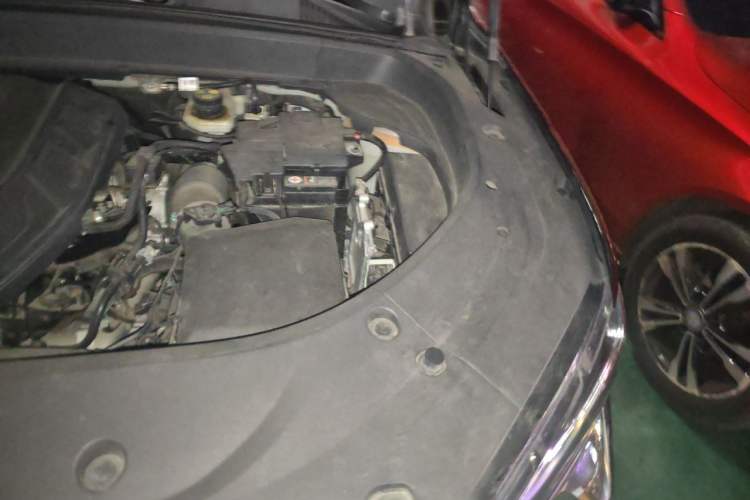 Used Geely Auto Monjaro L 2023 2.0TD High-Power Automatic Two-Wheel Drive Flagship Version Engine Bay Left