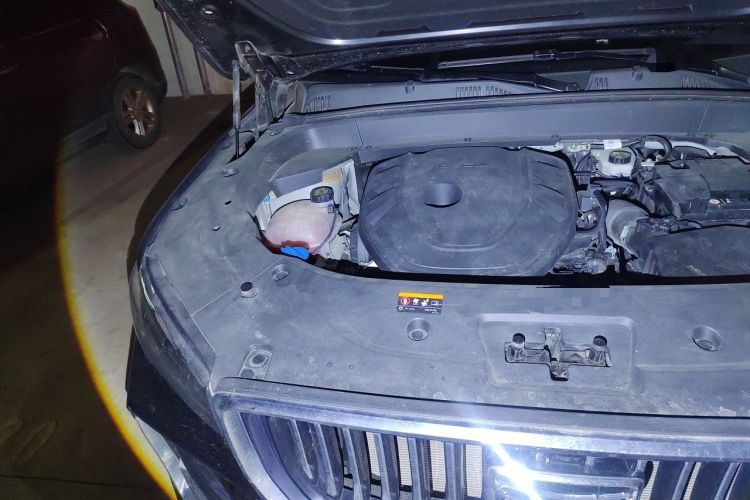 Used Geely Auto Monjaro L 2023 2.0TD High-Power Automatic Two-Wheel Drive Flagship Version Engine Bay Right