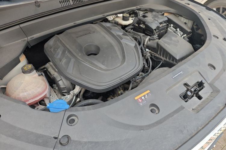 Used Geely Auto Monjaro L 2023 2.0TD High-Power Automatic Two-Wheel Drive Flagship Version Engine Bay Right