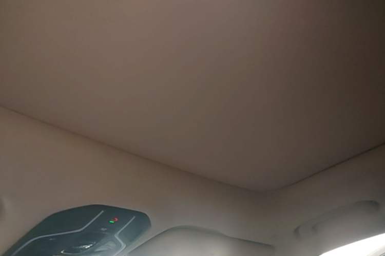 Used Geely Auto Monjaro L 2023 2.0TD High-Power Automatic Two-Wheel Drive Flagship Version Headliner