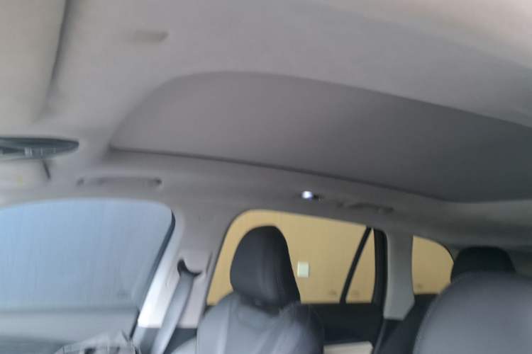 Used Geely Auto Monjaro L 2023 2.0TD High-Power Automatic Two-Wheel Drive Flagship Version Headliner