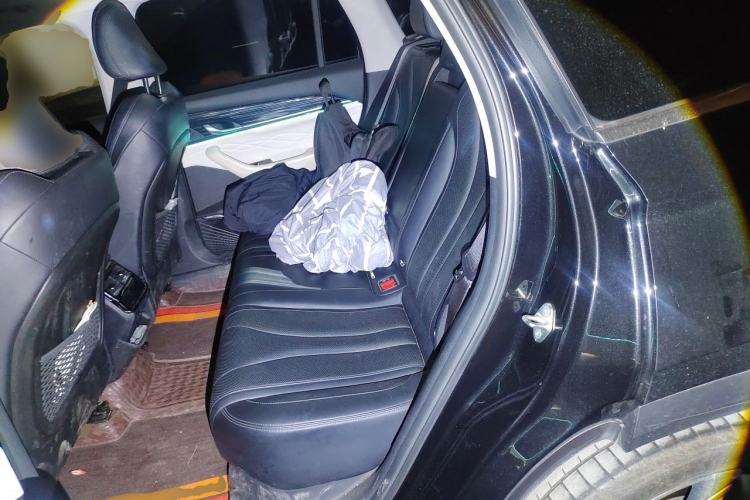 Used Geely Auto Monjaro L 2023 2.0TD High-Power Automatic Two-Wheel Drive Flagship Version Left Rear Seat