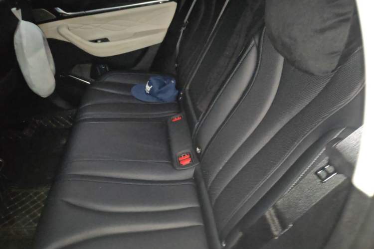 Used Geely Auto Monjaro L 2023 2.0TD High-Power Automatic Two-Wheel Drive Flagship Version Left Rear Seat