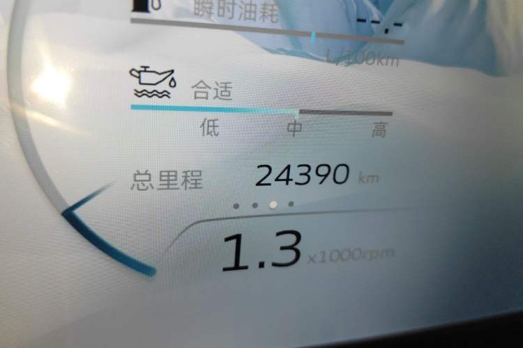 Used Geely Auto Monjaro L 2023 2.0TD High-Power Automatic Two-Wheel Drive Flagship Version Odometer Close Up