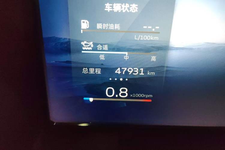 Used Geely Auto Monjaro L 2023 2.0TD High-Power Automatic Two-Wheel Drive Flagship Version Odometer Close Up