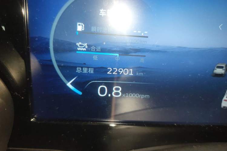 Used Geely Auto Monjaro L 2023 2.0TD High-Power Automatic Two-Wheel Drive Flagship Version Odometer Close Up