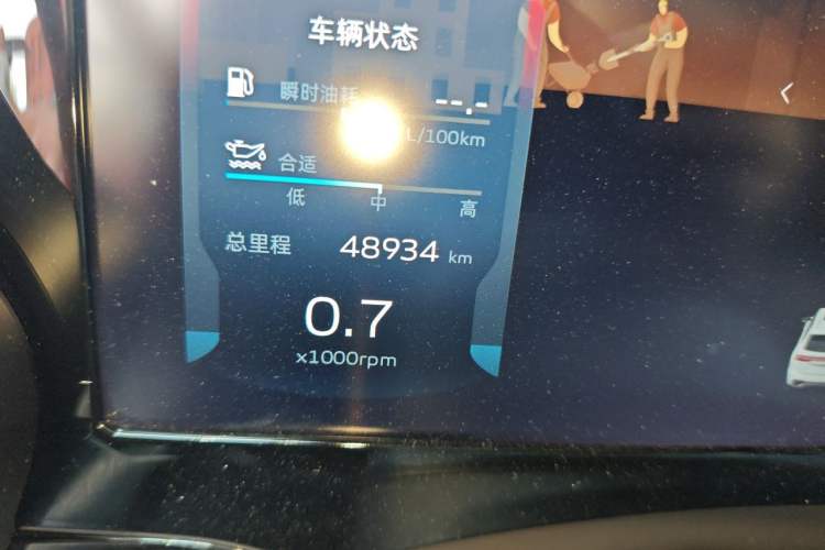 Used Geely Auto Monjaro L 2023 2.0TD High-Power Automatic Two-Wheel Drive Flagship Version Odometer Close Up