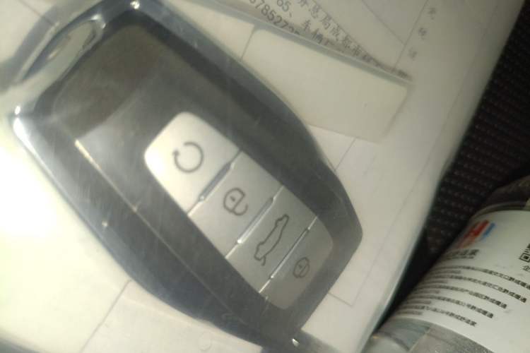 Used Geely Auto Monjaro L 2023 2.0TD High-Power Automatic Two-Wheel Drive Flagship Version Vehicle Key
