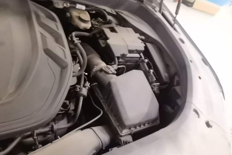 Used Geely Auto Monjaro L 2023 2.0TD High-Power Automatic Two-Wheel Drive Flagship Version Engine Bay Left