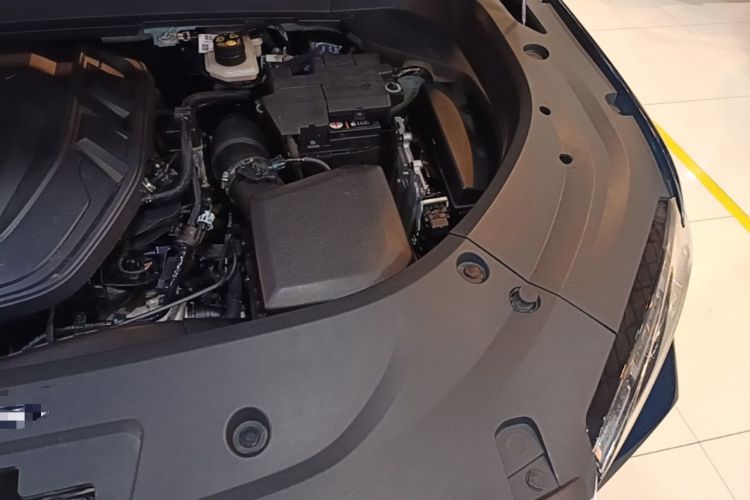 Used Geely Auto Monjaro L 2023 2.0TD High-Power Automatic Two-Wheel Drive Flagship Version Engine Bay Left
