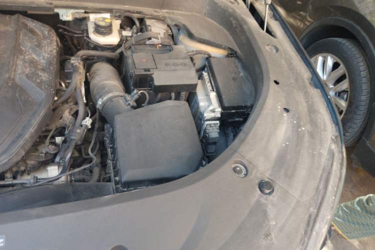 Used Geely Auto Monjaro L 2023 2.0TD High-Power Automatic Two-Wheel Drive Flagship Version Engine Bay Left
