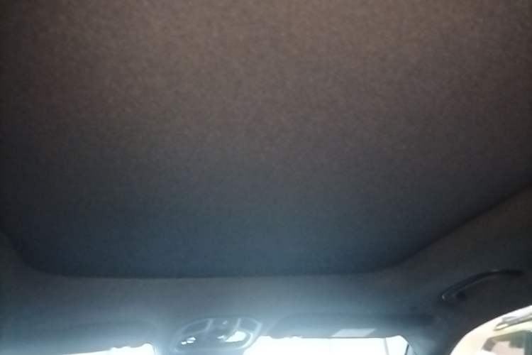 Used Geely Auto Monjaro L 2023 2.0TD High-Power Automatic Two-Wheel Drive Flagship Version Headliner
