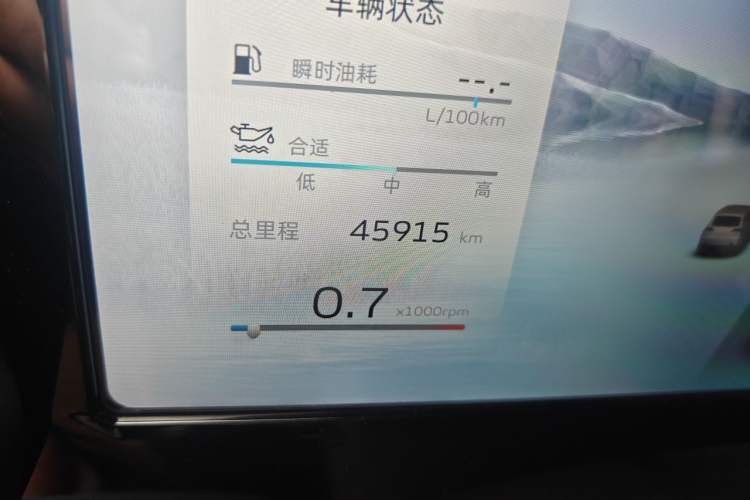 Used Geely Auto Monjaro L 2023 2.0TD High-Power Automatic Two-Wheel Drive Flagship Version Odometer Close Up