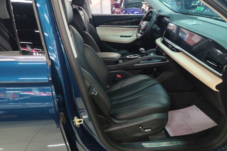 Used Geely Auto Monjaro L 2023 2.0TD High-Power Automatic Two-Wheel Drive Flagship Version Right Front Seat