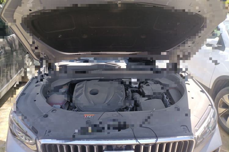 Used Geely Auto Monjaro L 2023 2.0TD High-Power Automatic Two-Wheel Drive Flagship Version Engine Bay