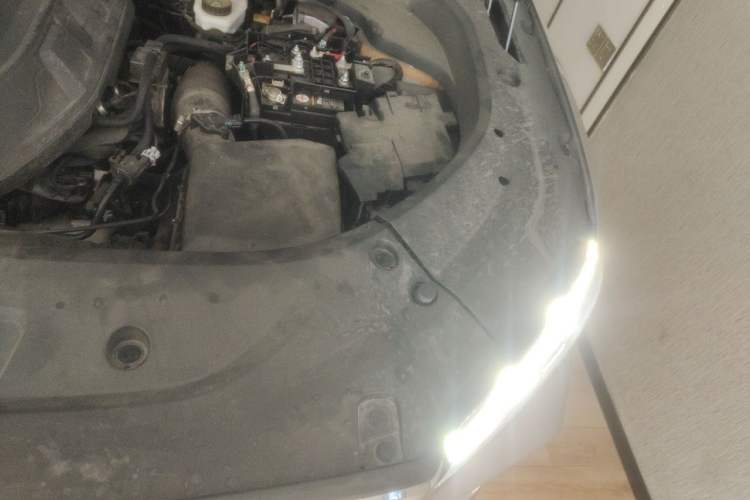 Used Geely Auto Monjaro L 2023 2.0TD High-Power Automatic Two-Wheel Drive Flagship Version Engine Bay Left