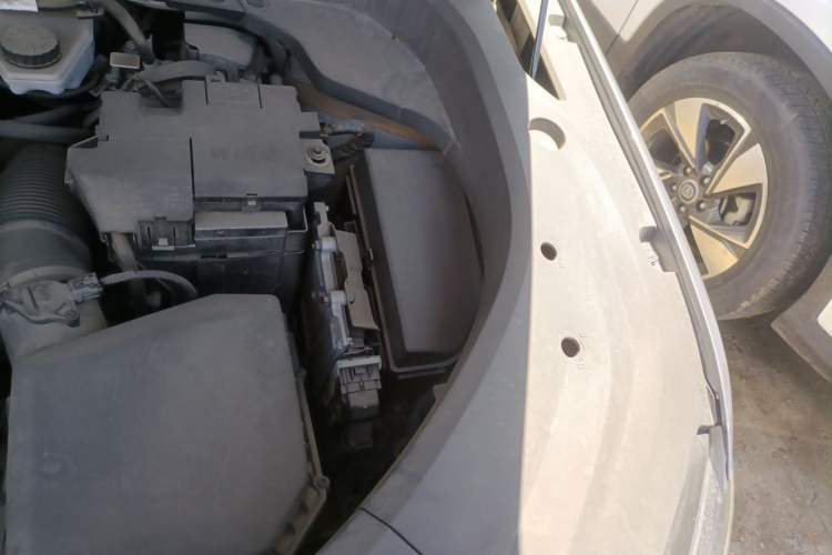 Used Geely Auto Monjaro L 2023 2.0TD High-Power Automatic Two-Wheel Drive Flagship Version Engine Bay Left