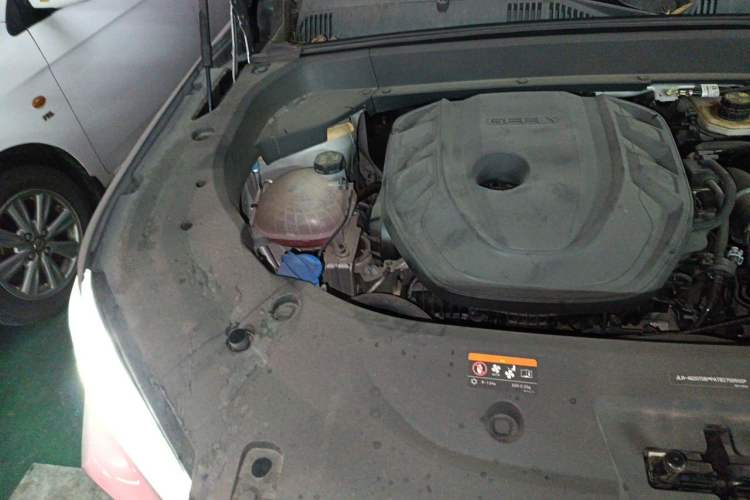 Used Geely Auto Monjaro L 2023 2.0TD High-Power Automatic Two-Wheel Drive Flagship Version Engine Bay Right
