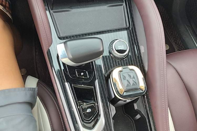 Used Geely Auto Monjaro L 2023 2.0TD High-Power Automatic Two-Wheel Drive Flagship Version Gear Lever
