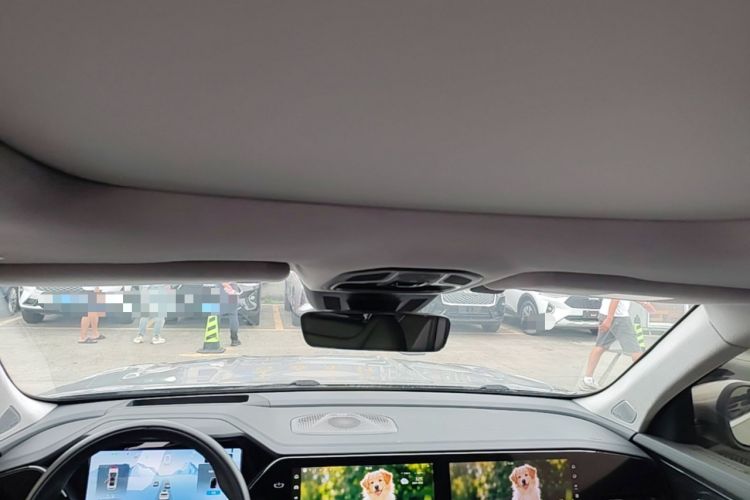 Used Geely Auto Monjaro L 2023 2.0TD High-Power Automatic Two-Wheel Drive Flagship Version Headliner