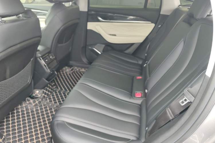 Used Geely Auto Monjaro L 2023 2.0TD High-Power Automatic Two-Wheel Drive Flagship Version Left Rear Seat